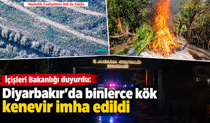 İçişleri Bakanlığı duyurdu: Diyarbakır'da binlerce kök kenevir imha edildi