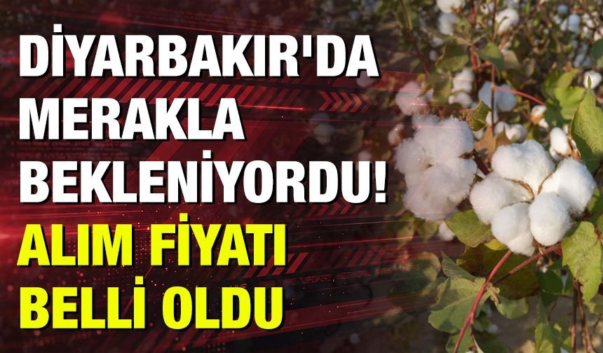 Diyarbakır'da merakla bekleniyordu! Alım fiyat belli oldu