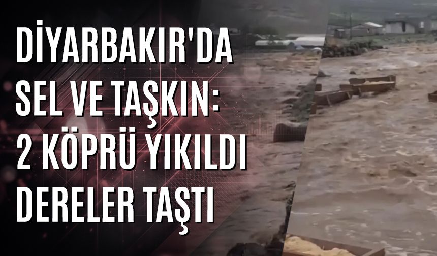 Diyarbakır'da sel ve taşkın: 2 köprü yıkıldı, dereler taştı