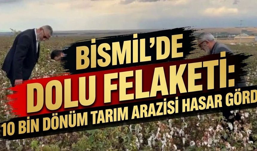 Bismil'de dolu felaketi: 10 bin dönüm tarım arazisi hasar gördü