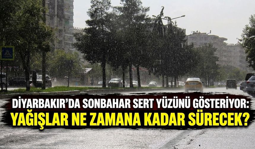 Diyarbakır'da sonbahar sert yüzünü gösteriyor: Yağışlar ne zamana kadar sürecek?