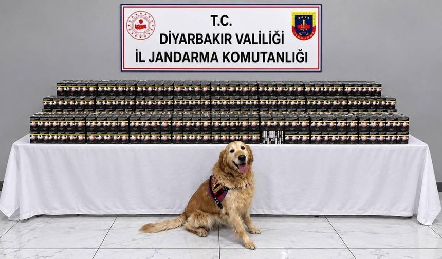 Diyarbakır’da kaçakçılık operasyonları
