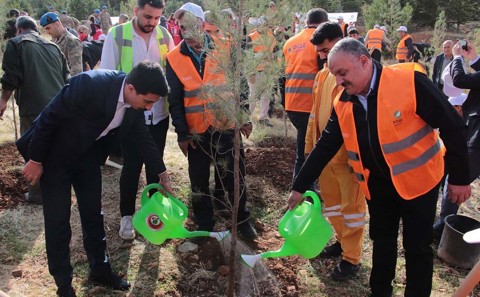 DEPSAŞ Enerji, Diyarbakır'daki Makam Dağı’na 3 bin fidan dikti