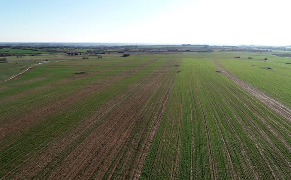 Diyarbakır'da 9 dönümlük arazi icradan satışa çıkarıldı